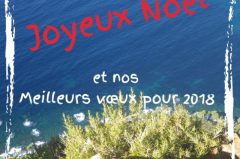 Vœux