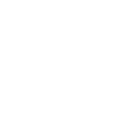        Ecrits