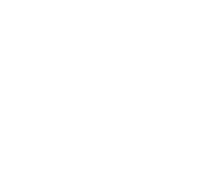           Albums
